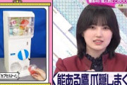 【的野美青】想像の何倍もレゴのガチ勢な的野美青が凄すぎる【櫻坂46】