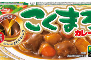 市販のカレールーで一番おいしいやつ