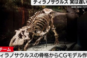 【画像】ティラノサウルスが歩く速度、俺らと変わらないことが発覚ｗｗｗｗｗｗｗｗｗｗｗ