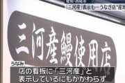愛知県西尾市のウナギ料理店｢炭火職人 うなみ｣､中国産を三河産と偽装｢三河産はふるさと納税の返礼品に優先して使っていた｣