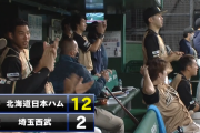 【速報】日ハム19安打12得点2回以降毎回得点ｗｗｗｗｗｗｗ