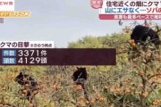 【マタギに聞いた】“集団クマ”一度に「12頭」住民恐怖！！【人里に下りてくるクマは凶暴】