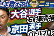 【悲報】元ヤクルト宮本慎也さん、バトルブロック京田に死体蹴り「あんなショートの守備ねーよ」