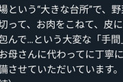 味の素「大変なお母さんに代わって丁寧に冷食を作ってます」→ツイッターママぶちギレwwwwwwww