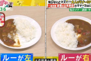 カレーのマナー、ガチで難しいｗｗｗｗｗ