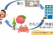 川崎市、ふるさと納税で税収が減りまくりブチ切れ