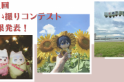 【第1回】ぬい撮りコンテスト結果発表！にじめん賞に輝いたのは？投稿写真を作品ごとに紹介