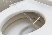 日本のウォシュレットの水圧を最強にしている奴はいるか？←「フルパワーがデフォ」「あれでも足りない」（海外の反応）
