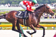 【中山7R】レッドバンデが2勝クラスに出走 (菊花賞5着、セントライト3着)