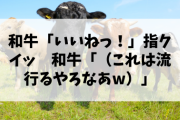 【悲報】和牛「いいねっ！」指クイッ　和牛「（これは流行るやろなあw）」
