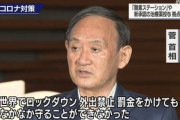 【悲報】菅首相､記者にキレる｢世界でロックダウンして外出禁止に罰金かけても守ることができなかったじゃないですか！｣