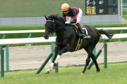 G1レースを勝たずに種牡馬になる方法ってあるの？