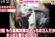 【動画あり】日本人男性「この声に罵倒されたい」「これはご褒美」韓国人「アニメ声の女性が女性専用車両に乗ってきた男性に怒鳴り散らす」　韓国の反応
