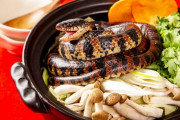外国人「日本ではヘビも食材として利用されてるらしいぞ！」