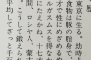 【画像】すごい著者略歴、見つかる