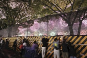 【画像】これが今の日本の花火大会です....
