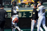 【阪神】原口にアクシデント　ファウル右手親指に受け二回途中交代