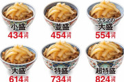 【朗報】吉野家、ねぎだく牛丼販売へ