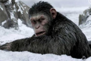 映画『猿の惑星』の新作が公開　しかしファンから不満の声が上がっているのは？