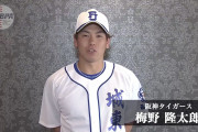 ロッテに阪神梅野が移籍したら優勝するんちゃう？