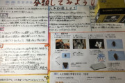 【画像】最近の小学生、夏休みの自由研究に人工知能を使ってしまうｗｗｗｗｗｗ