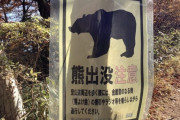 韓国人「最近日本でクマハンターが減り続けている理由をご覧ください・・・」→「」