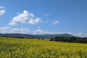 北海道の旅してるんだけどいい加減飽きた
