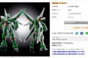 【悲報】ガンプラ、超人気機体がキット化するもやっぱり転売ヤーに狩り尽くされる
