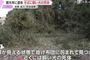 雑木林に殺害された女性と飼い犬の遺体　滋賀・米原市