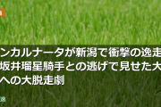 インカルナータが新潟で衝撃の逸走！坂井瑠星騎手との逃げで見せた大外への大脱走劇