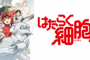 1期→2期で超絶劣化したアニメｗｗｗｗｗｗｗｗｗ