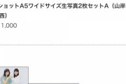 山岸りこりこ、事務所に苦言「グッズ見ました？私卒業するみたいになっててびっくりしました」