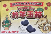 ヨドバシの2024年福袋届いたぞ