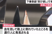 【悲報】下着泥棒さん、家に設置された「忍び返し」に引っかかって大量出血、逮捕される