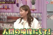 【炎上】藤本美貴「アニメ声は聞いてて疲れるからチャンネル変える。子供には洋画を見せてる」　アニオタブチ切れへ