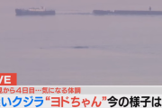【悲報】 淀川のクジラ・ヨドちゃん、衰弱