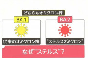 【悲報】オミクロン、ガチでヤバかった