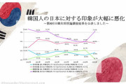 いっそ滅ぼしてしまえばスッキリする　〜　韓国「韓日関係の悪化は日本のせい」