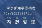 【動画】世界よ、これが日本の政見放送だぁ～！ (東京都知事選挙)