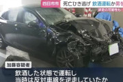 自動車整備業の男、酒気帯び運転で道路を逆走 → 死亡ひき逃げ事故を起こす