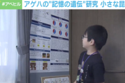 【衝撃】日本の天才男児（10）、結構ガチで凄い発見をする