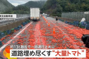 東北道で事故　「40m～50mは散らばってた」　約13トン“大量トマト”が高速道路埋め尽くし真っ赤に  [8/28]