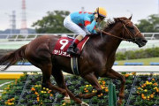 【競馬予想】[1]第71回 安田記念(G1) /2021