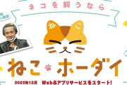 【速報】ねこホーダイ運営会社、サービス停止を発表。全会員に返金対応「深くお詫び」