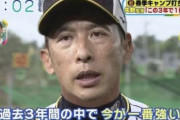 【悲報】矢野監督、名将説が漂い始めるｗｗｗｗｗｗｗｗｗｗｗｗｗｗｗｗｗｗｗｗｗｗｗｗ