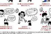 【画像】イッヌ、無闇に接触してくる奴は嫌いな模様ｗｗｗｗｗｗｗｗ