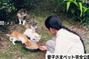 【朗報】愛子さま、人間が大好きだった