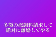 【悲報】東海オンエアしばゆーの嫁あやなんさんブチギレ「絶対に離婚してやる」