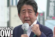 海外視聴者「政治的に反対デモ事件はショック」「変化が心配…」安倍元首相銃撃の日本政治への影響は？大学教授インタビュー