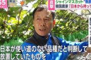盗人猛々しい民族